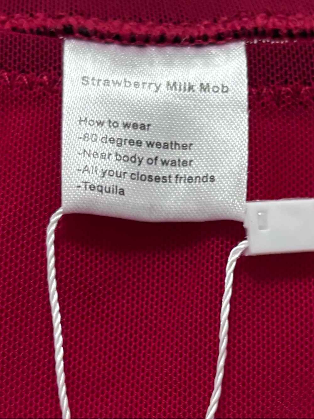 2/$25 Strawberry Milk Mob Deep Raspberry Maxi Skirt - Picture 2 of 8